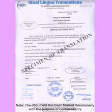 Load image into Gallery viewer, Certified-translation-of-Birth-Certificate