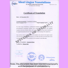 Load image into Gallery viewer, Certified-translation-of-School-certificate