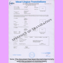 Load image into Gallery viewer, Punjabi-to-english-certified-translation