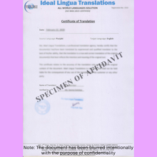 Load image into Gallery viewer, Punjabi-to-english-certified-translation