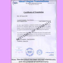 Load image into Gallery viewer, English-to-russian-certified-translation