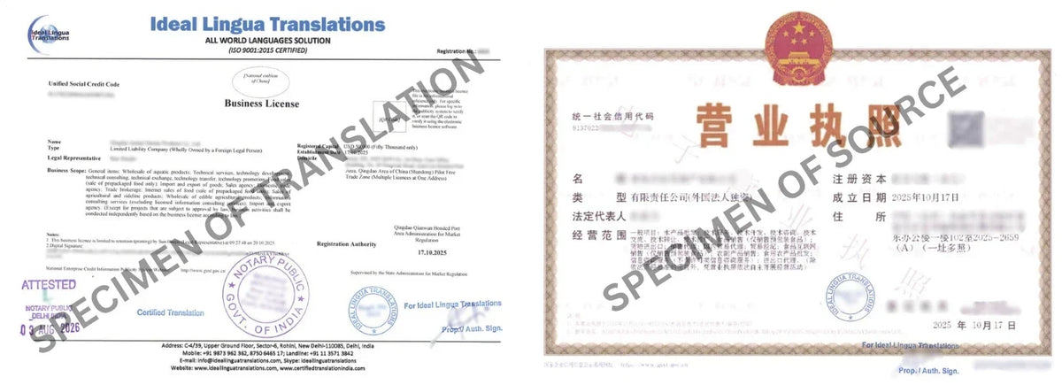 Real example of a Certified English Translation of a Chinese Business License (营业执照) by Ideal Lingua Translations with official agency stamps for Indian MCA approval.