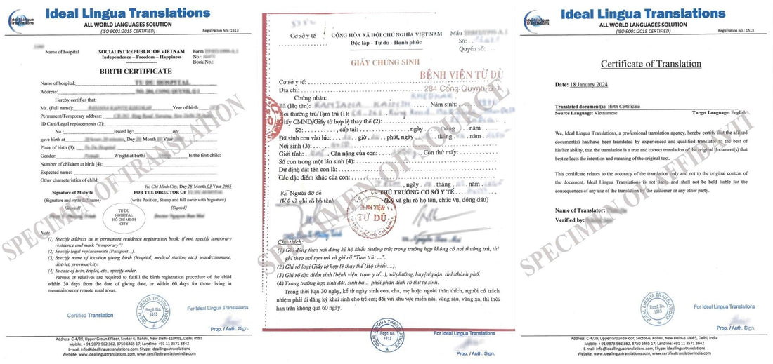 Real example of a Certified English Translation of a Vietnamese Birth Certificate (Giấy Khai Sinh) by Ideal Lingua Translations with official agency stamps for visa and OCI approval.