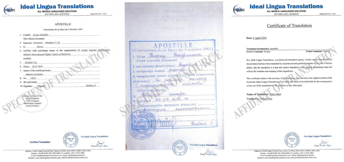 Real example of a Certified Foreign Language Apostille Translation to English by Ideal Lingua Translations for USCIS, UKVI, and IRCC immigration approval.