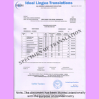 English-to-german-certified-translation